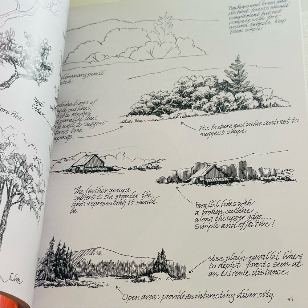 SIGNED Drawing In Pen & Ink Claudia Nice First Steps Series Paperback Book - Picture 7 of 10
